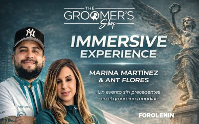 Immersive Experience 2026